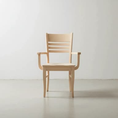 Alex Arm Chair